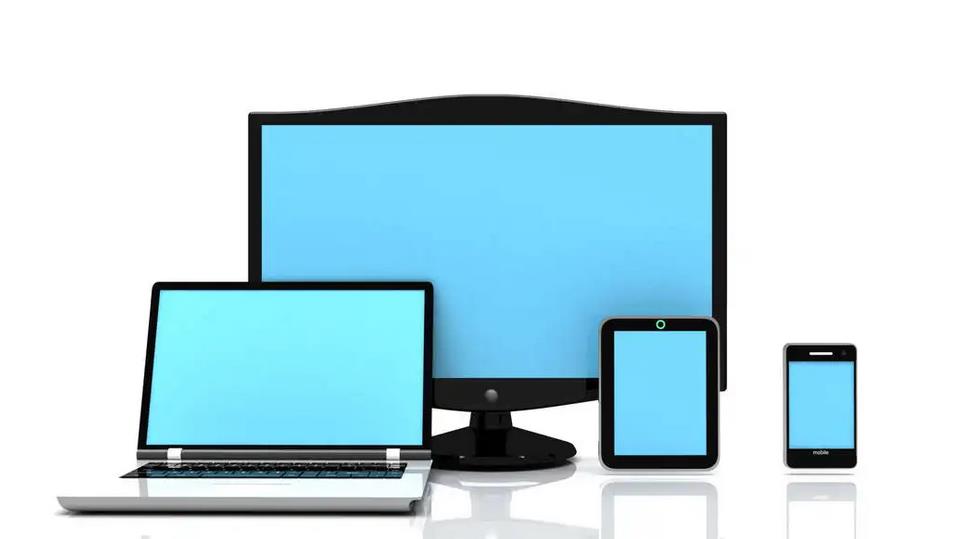 嘉定食品生產經營者在集中銷毀處理