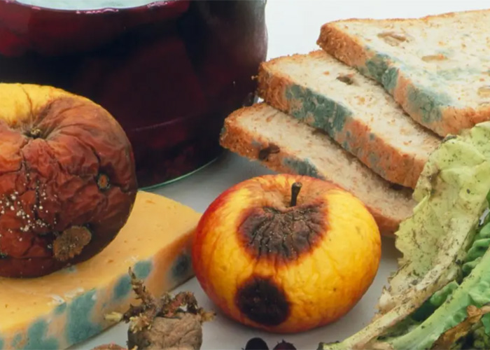 上海清關瓜子銷毀處理公司2022已更新(今日/資訊) 上海清關瓜子銷毀處理公司2022已更新(今日/資訊)