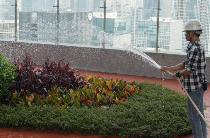 把中國沿海城市打造成海綿城市 把中國沿海城市打造成海綿城市